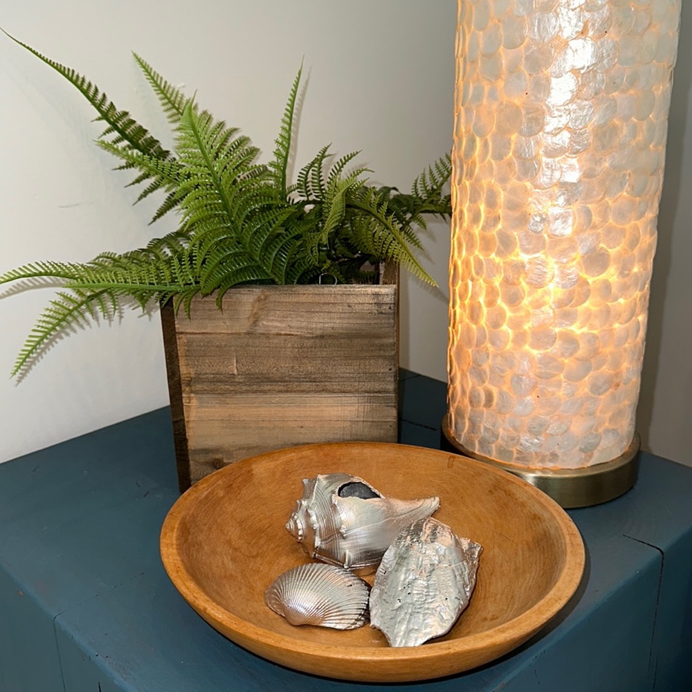 Silver Coated Medium Seashells Set of 3 🎁Wrapped & Gives Back🎗️